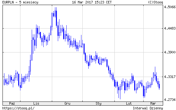 Euro PLN 5 miesięcy